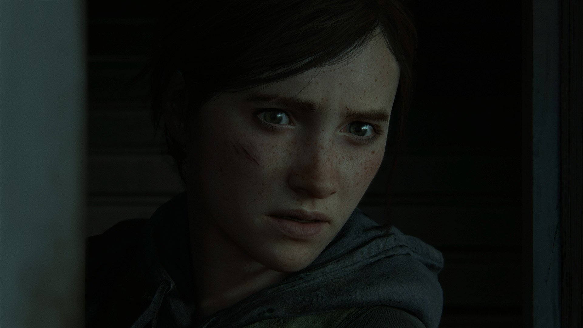 The Last of Us: Parte II - Imagen 39